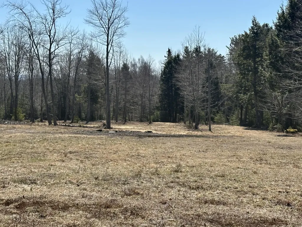 Lot #0 Morgan Bay Road Surry ME 04684