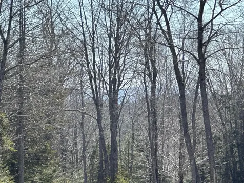Lot #0 Morgan Bay Road Surry ME 04684
