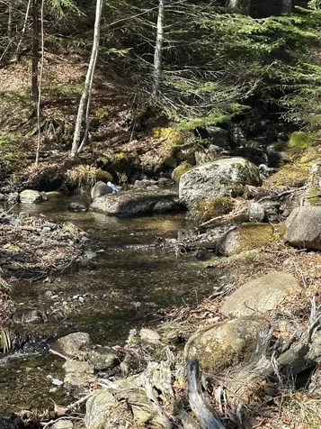 Lot #0 Morgan Bay Road Surry ME 04684