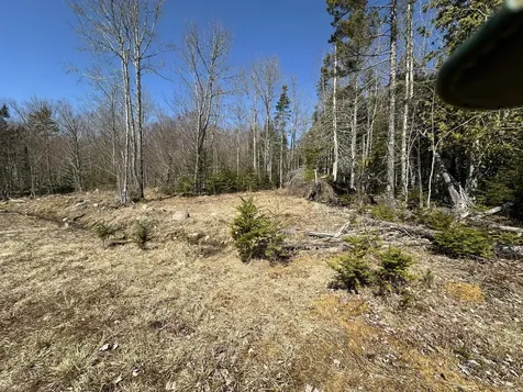 Lot #0 Morgan Bay Road Surry ME 04684