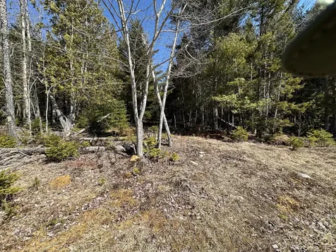 Lot #0 Morgan Bay Road Surry ME 04684