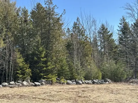 Lot #0 Morgan Bay Road Surry ME 04684