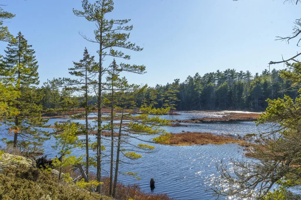 1357 Main Road Westport Island ME 04578