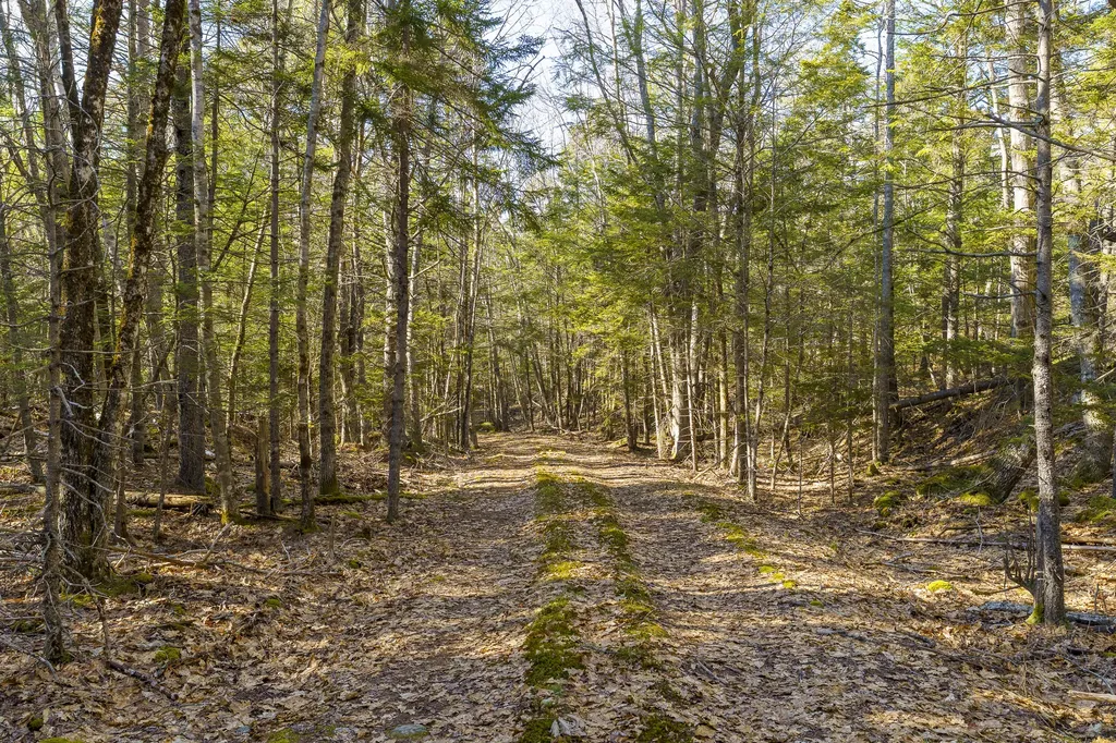 1357 Main Road Westport Island ME 04578