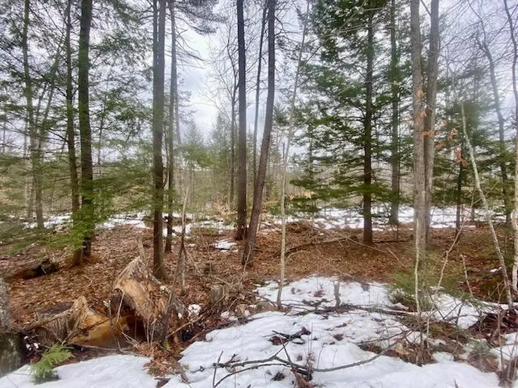 1186 Middle Road Parsonsfield ME 04047