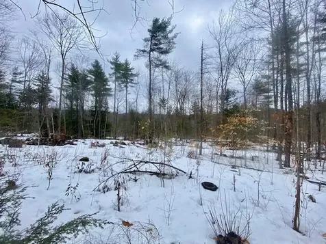 1186 Middle Road Parsonsfield ME 04047