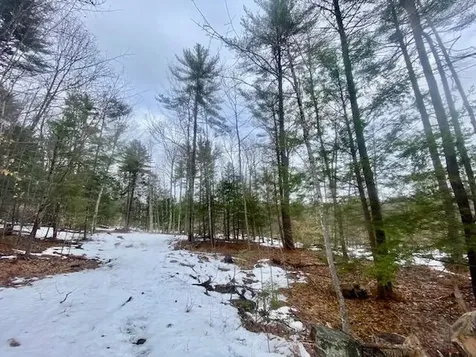 1186 Middle Road Parsonsfield ME 04047