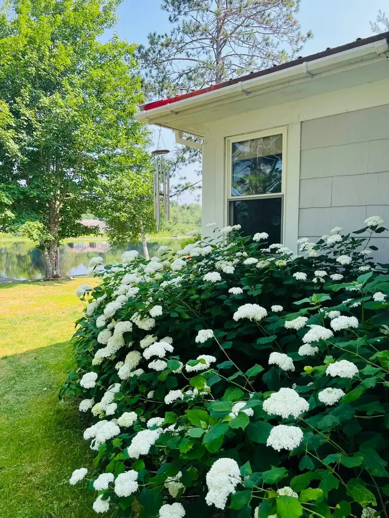 13 River Street Princeton ME 04668