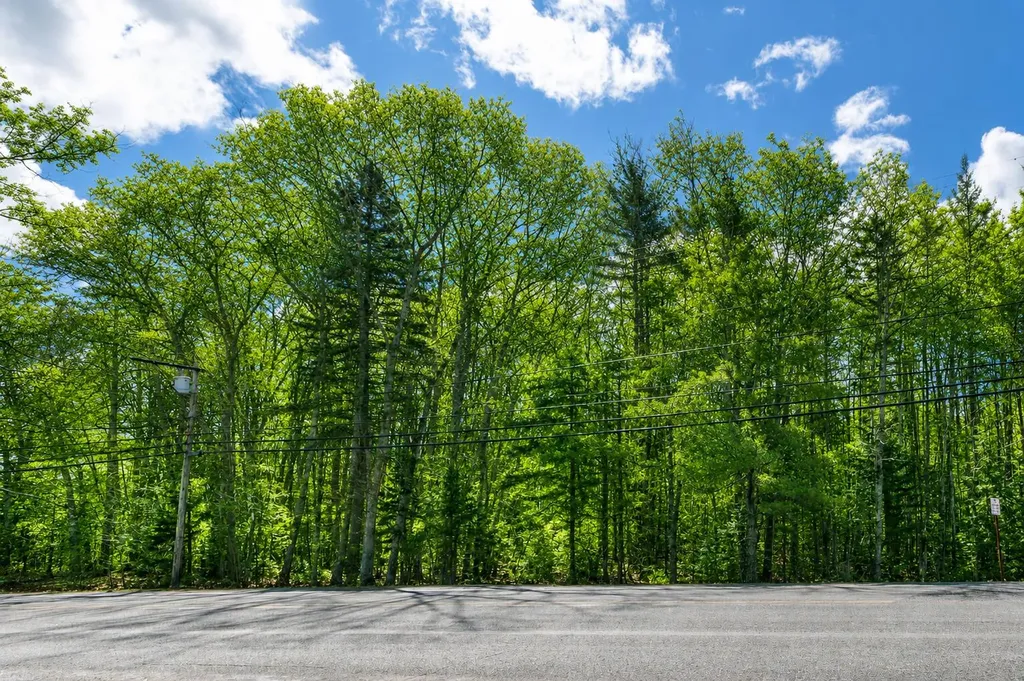 Lot 14-1-1 Bucksport Road Ellsworth ME 04605
