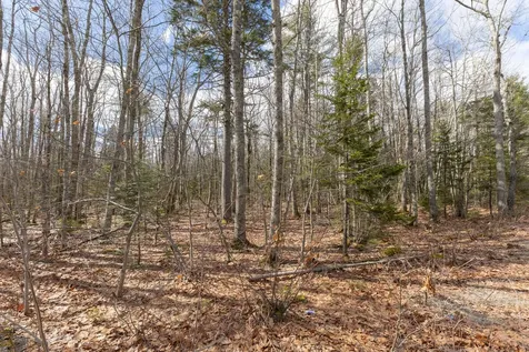 Lot 14-1-1 Bucksport Road Ellsworth ME 04605