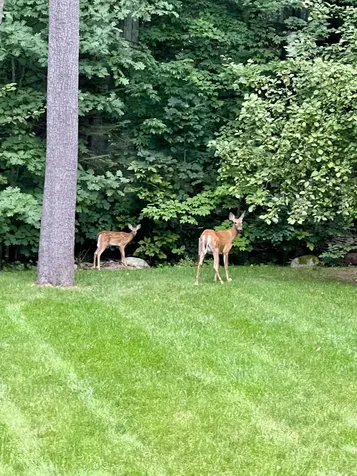 43 Darling Parke Drive Bangor ME 04401