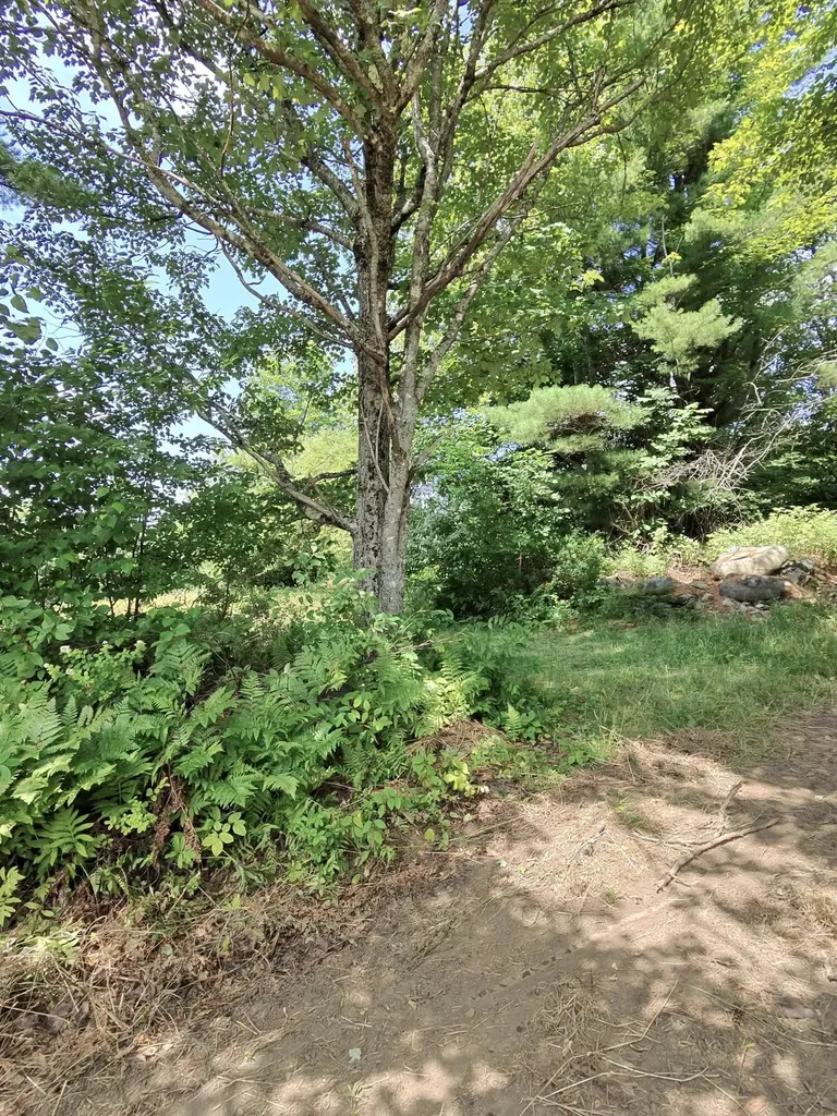 53 Kulas Road Parkman ME 04443