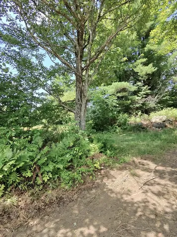 53 Kulas Road Parkman ME 04443