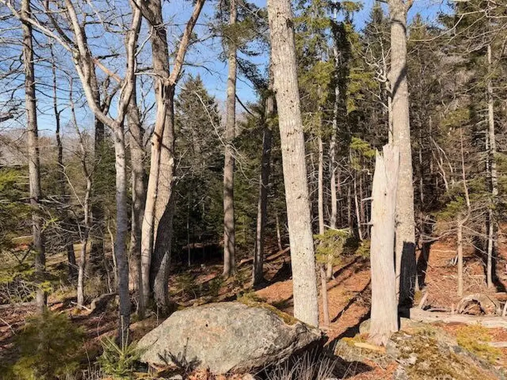 0 Balsam Lane Mount Desert ME 04660