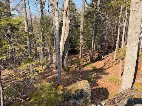 0 Balsam Lane Mount Desert ME 04660
