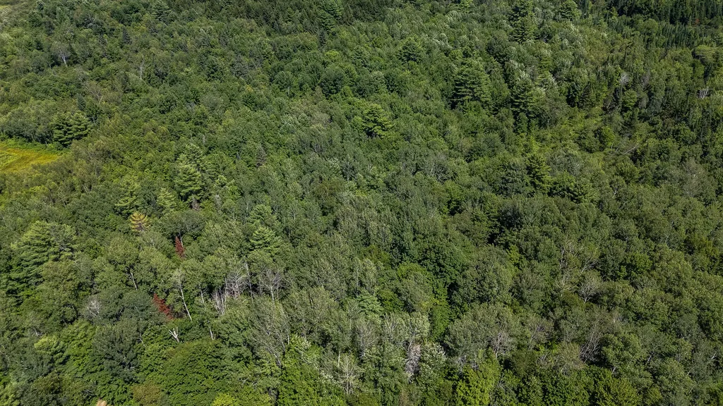 5267 Bennoch Road Lagrange ME 04453