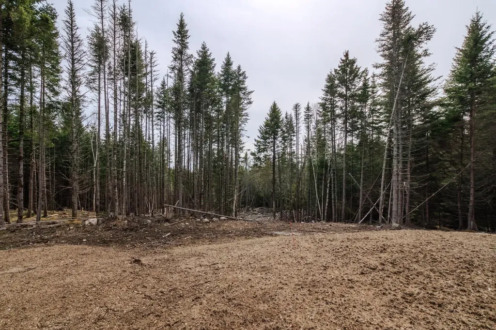 Lot #109B Stagecoach Road Marshfield ME 04654