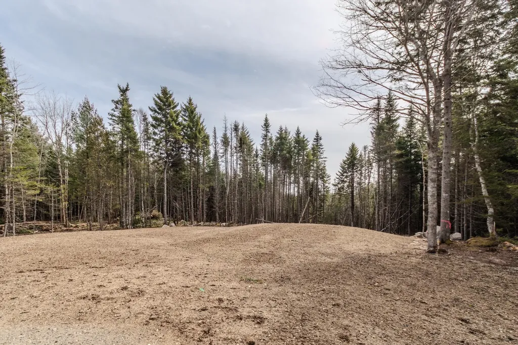Lot #109B Stagecoach Road Marshfield ME 04654