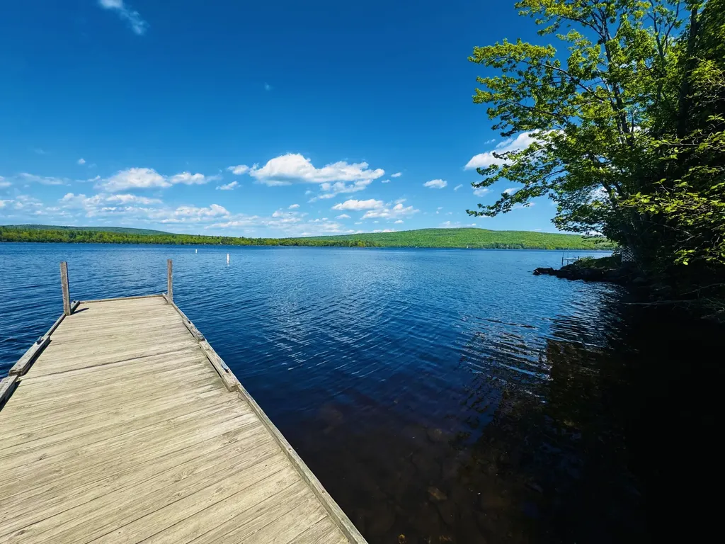 1180 Great Moose Drive Hartland ME 04943