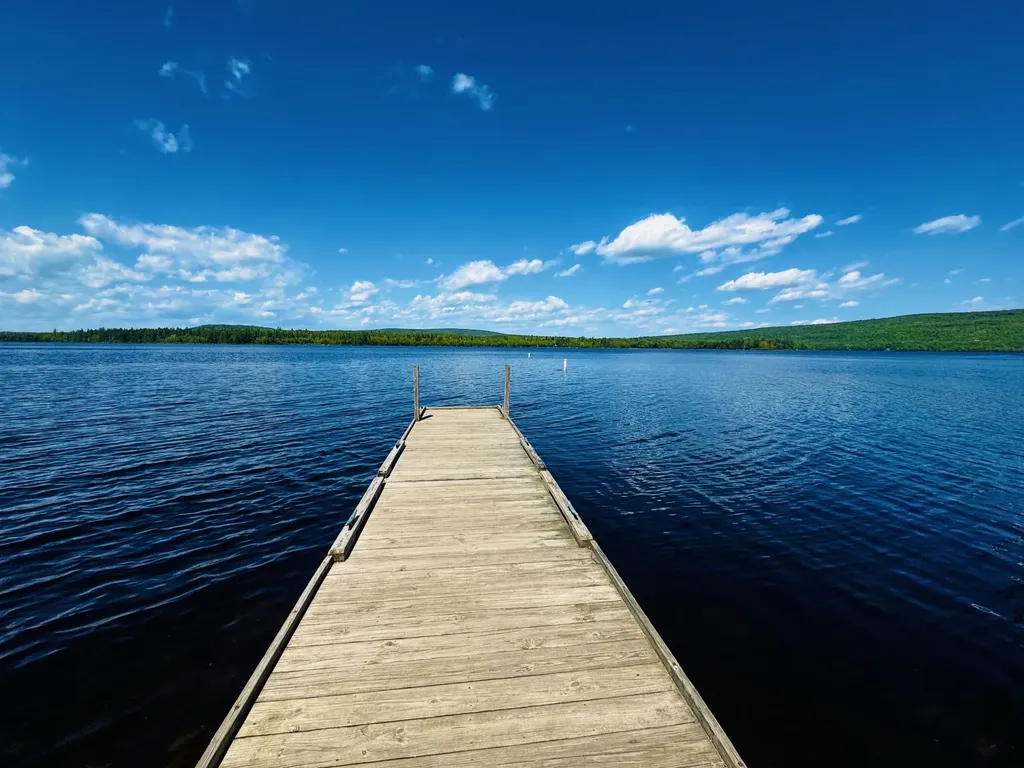 1180 Great Moose Drive Hartland ME 04943