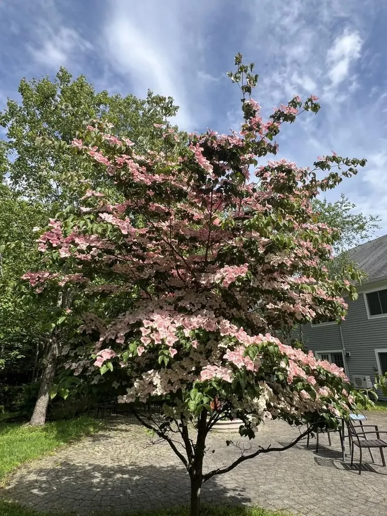79 E Ridge Road Southwest Harbor ME 04679