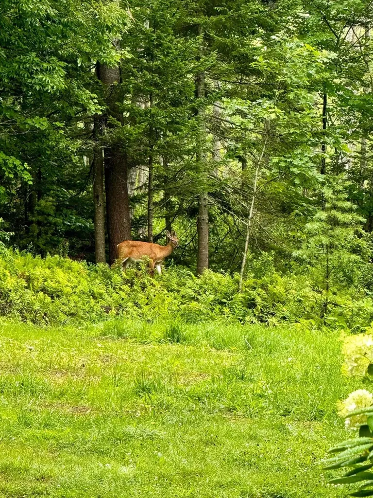 224 Tolman Road Warren ME 04864