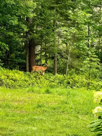 224 Tolman Road Warren ME 04864