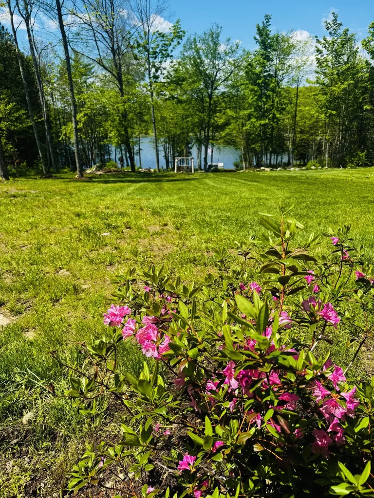 28 Moose Creek Drive Newport ME 04953