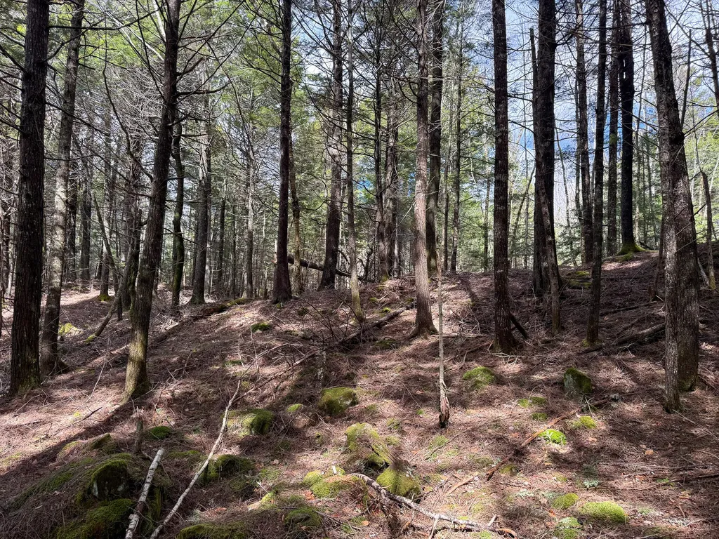 X Smith Cove Road Cathance Twp ME 04657