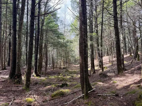 X Smith Cove Road Cathance Twp ME 04657