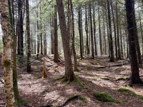 X Smith Cove Road Cathance Twp ME 04657