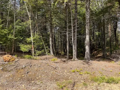 X Smith Cove Road Cathance Twp ME 04657