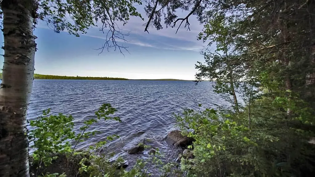 803 Chadwick Point Road Weston ME 04424