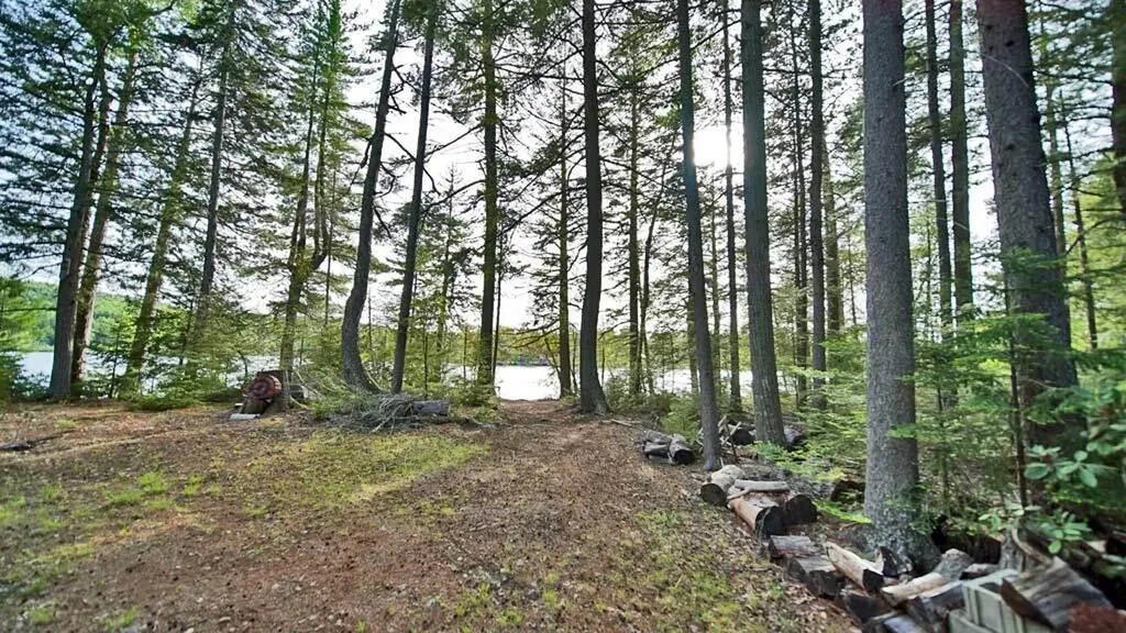 803 Chadwick Point Road Weston ME 04424