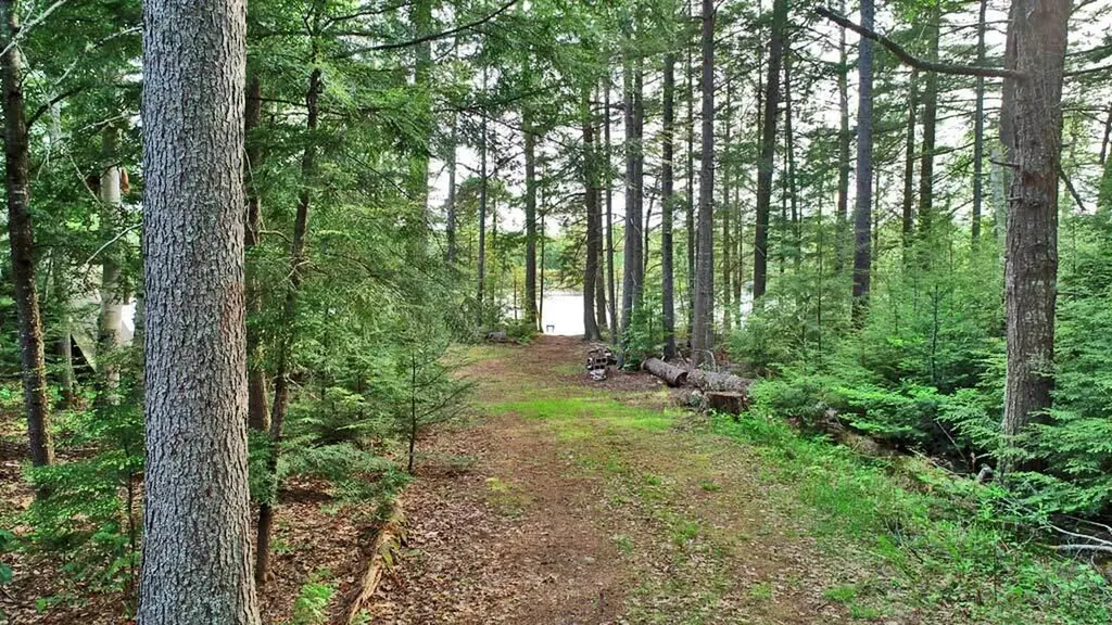 803 Chadwick Point Road Weston ME 04424
