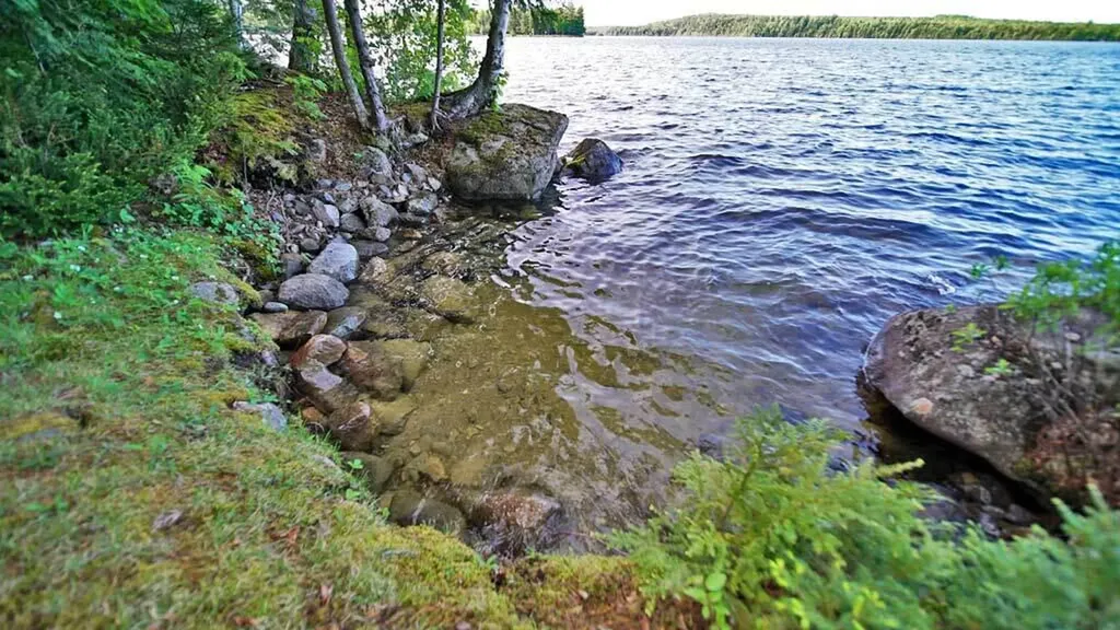 803 Chadwick Point Road Weston ME 04424
