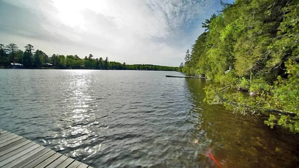 803 Chadwick Point Road Weston ME 04424