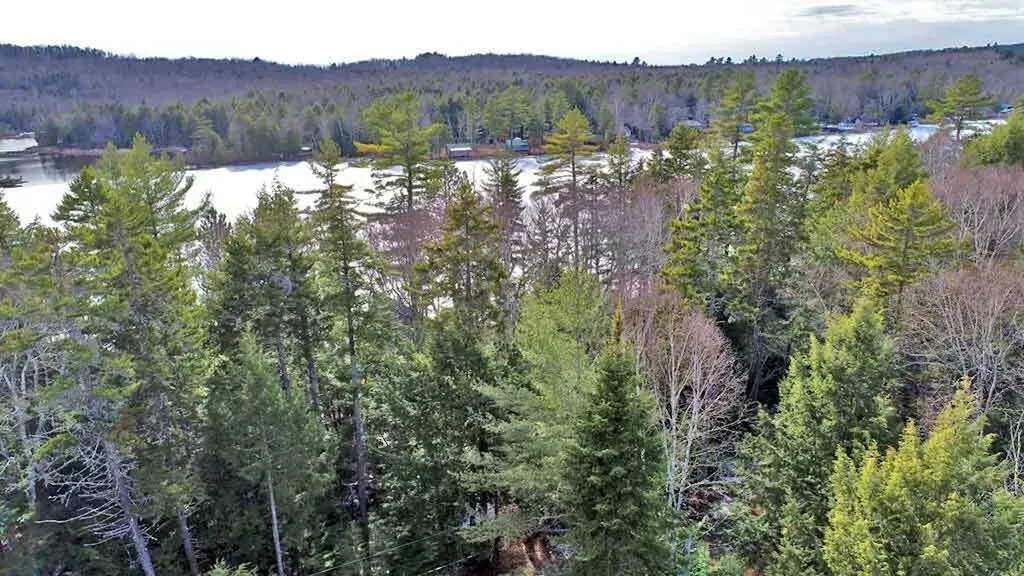 803 Chadwick Point Road Weston ME 04424
