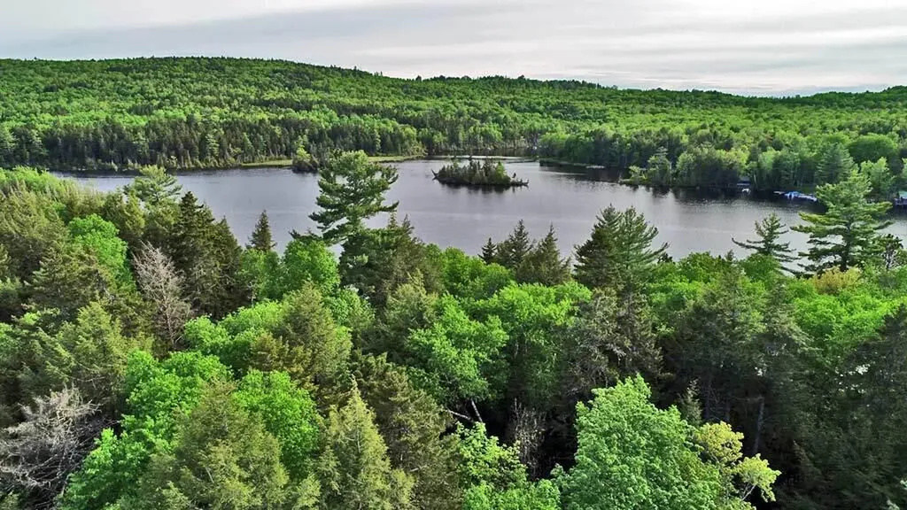 803 Chadwick Point Road Weston ME 04424