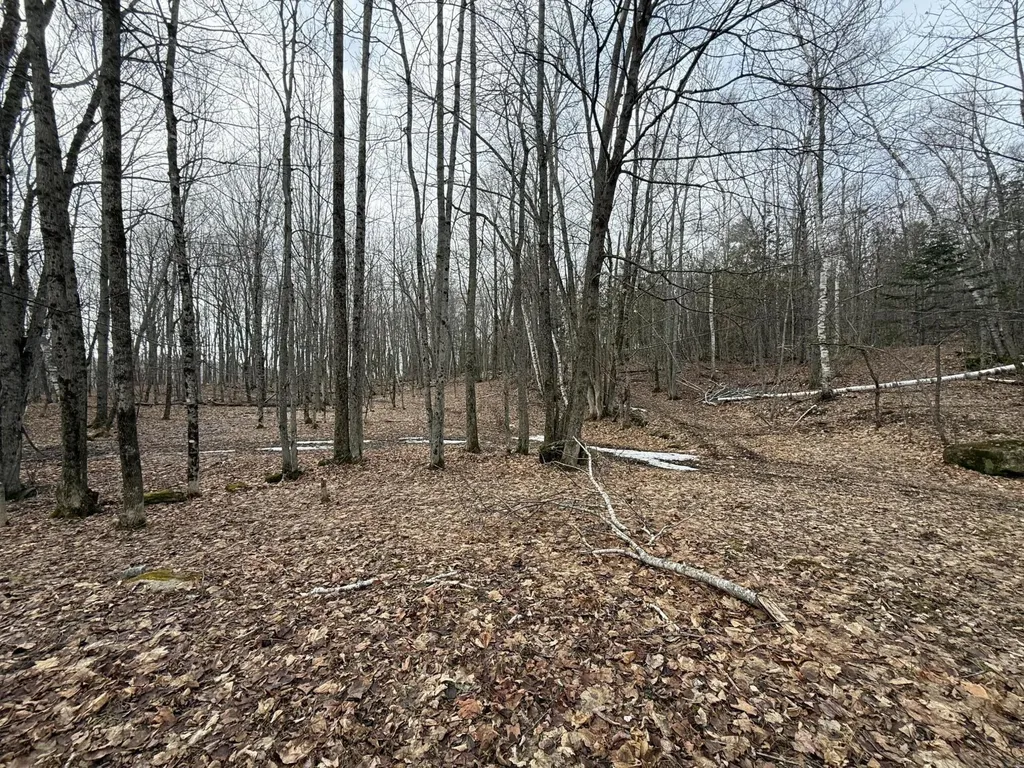 62 Grove Street Dexter ME 04930