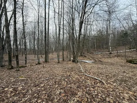 62 Grove Street Dexter ME 04930