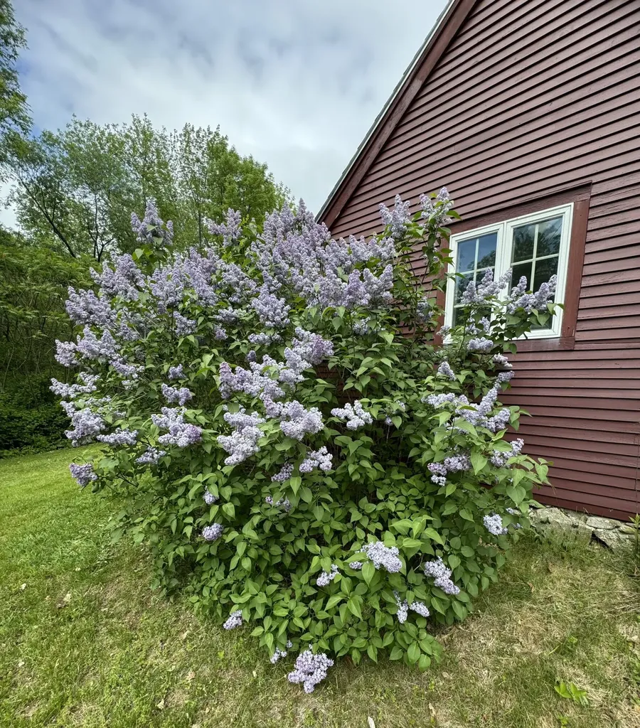 704 Cedar Grove Road Dresden ME 04342