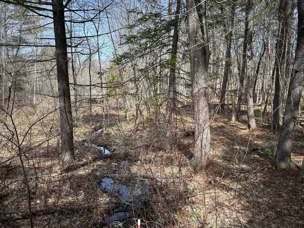 704 Cedar Grove Road Dresden ME 04342