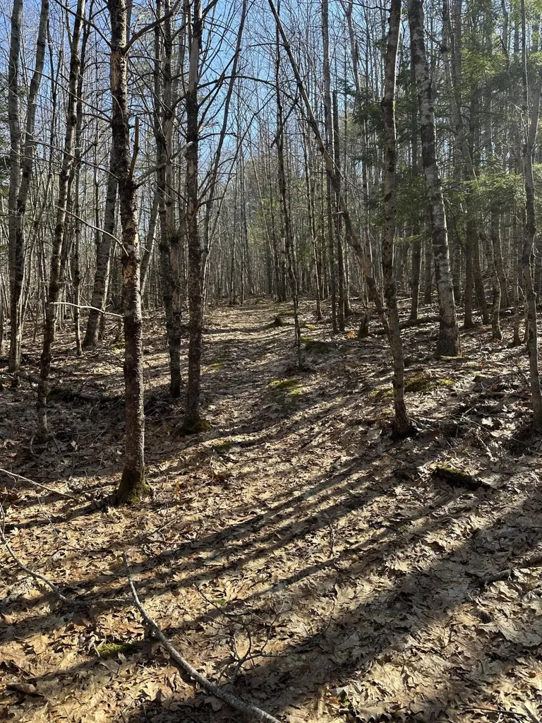 00 Nananka Trail Bristol ME 04539