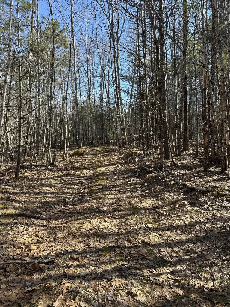 00 Nananka Trail Bristol ME 04539