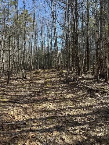00 Nananka Trail Bristol ME 04539