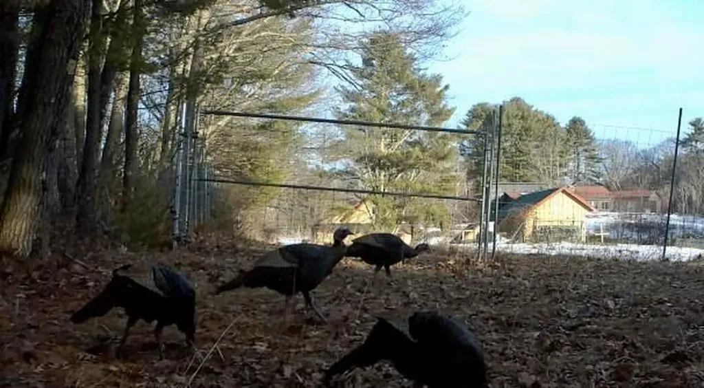 334 Johnson Road Auburn ME 04210
