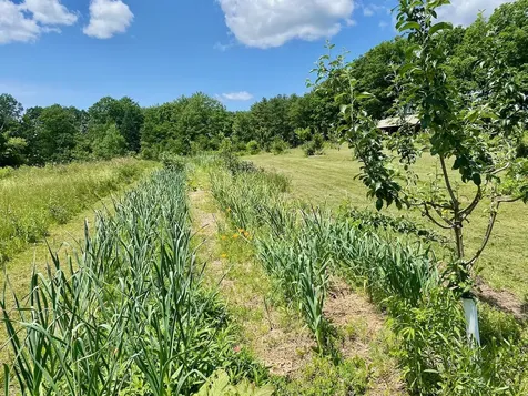 334 Johnson Road Auburn ME 04210