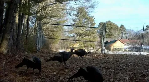 334 Johnson Road Auburn ME 04210