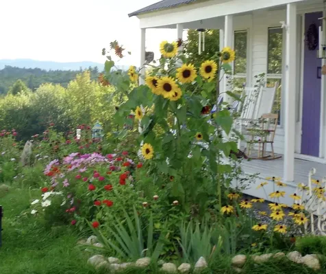 288 Mayberry Hill Road Casco ME 04015